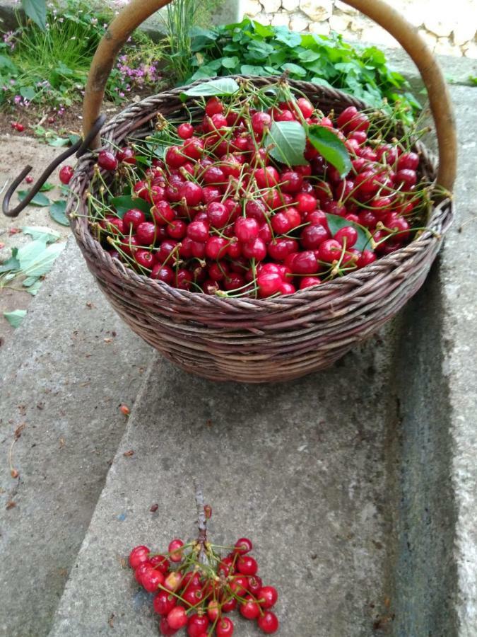 Njofra Banj Appartement Buitenkant foto